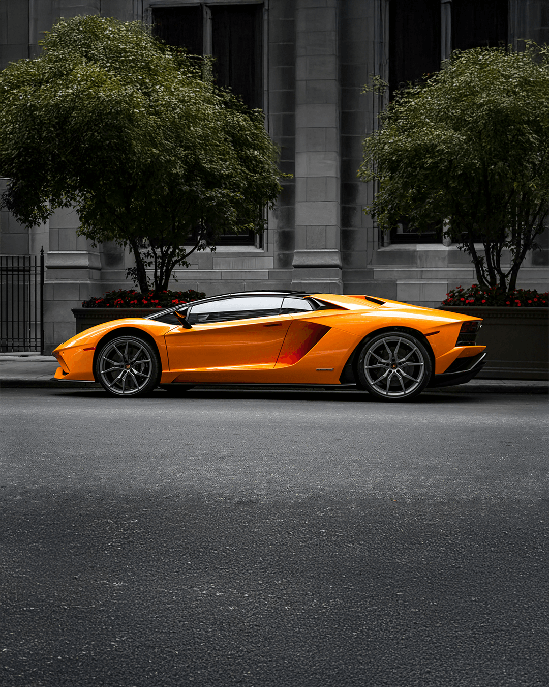 lambo_02
